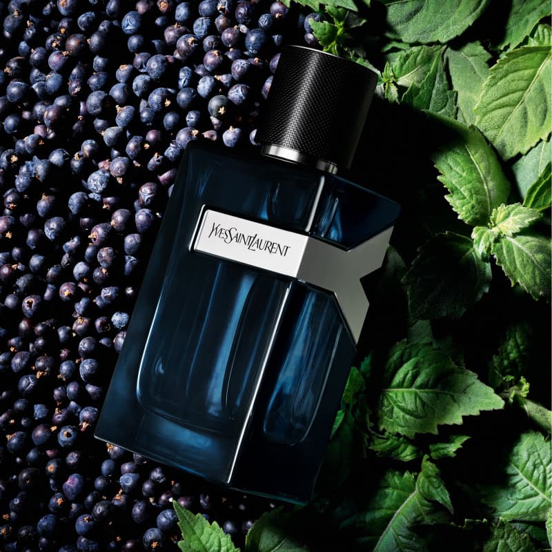 Intense Yves Saint Laurent EDP 100 ML (H) 3