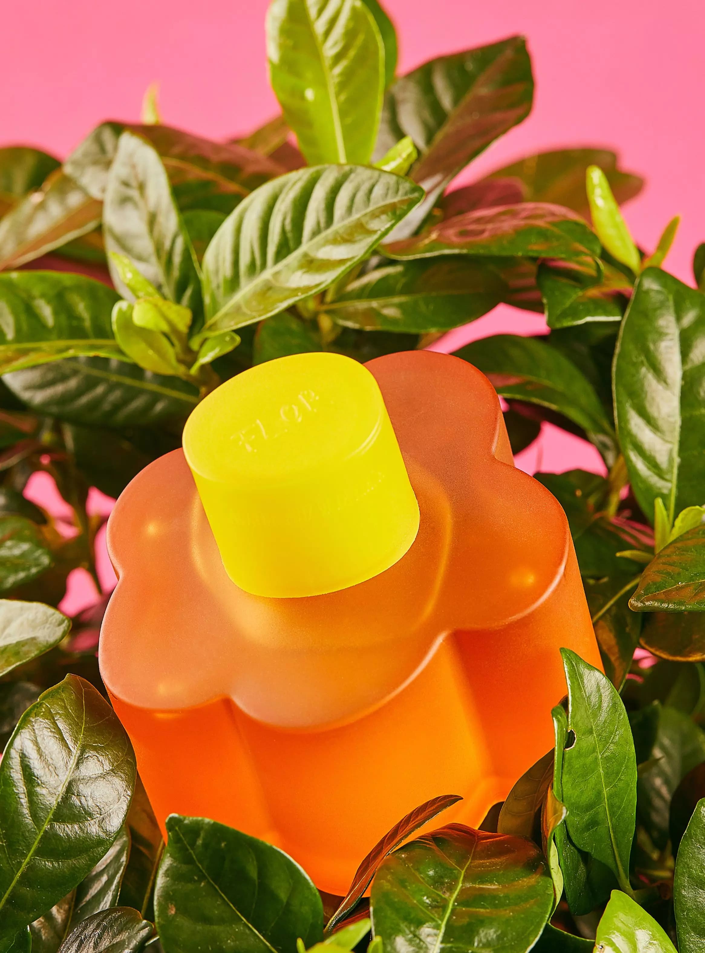 Flor Agatha Ruiz La Prada Agata Ruiz De La Prada EDT 100 ML (M) 2